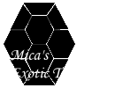 Logo Mica's Exotic Turtle Pet