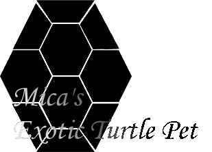 Mica's Exotic Turtle Petshop